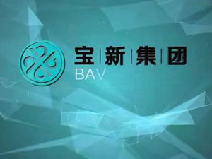上海寶新集團(tuán)形象片！